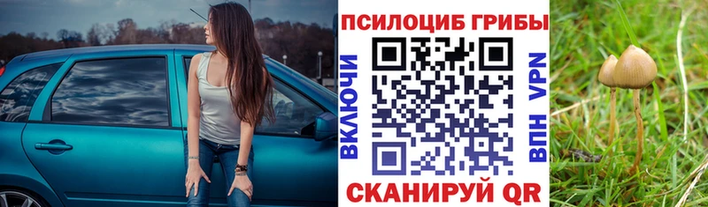 Галлюциногенные грибы GOLDEN TEACHER  Оса 